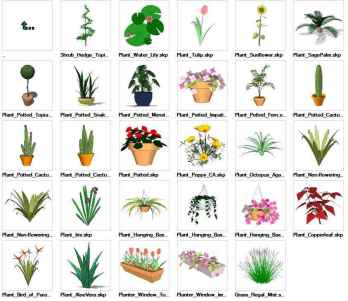 Sketchup Ornamentals Plant 3D models download