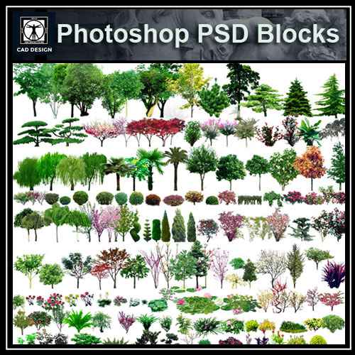 PSD Landscape Tree Blocks 6