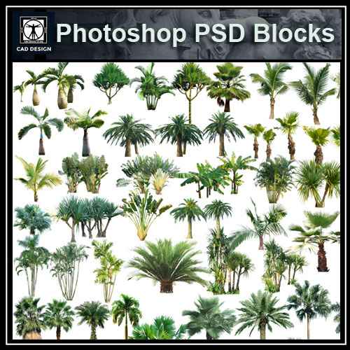 PSD Landscape Tree Blocks 5