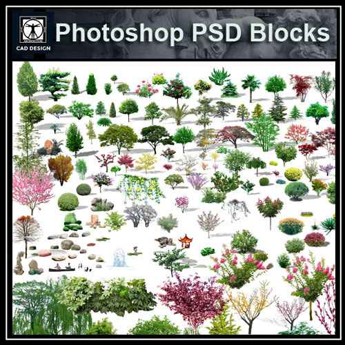 PSD Landscape Tree Blocks 7