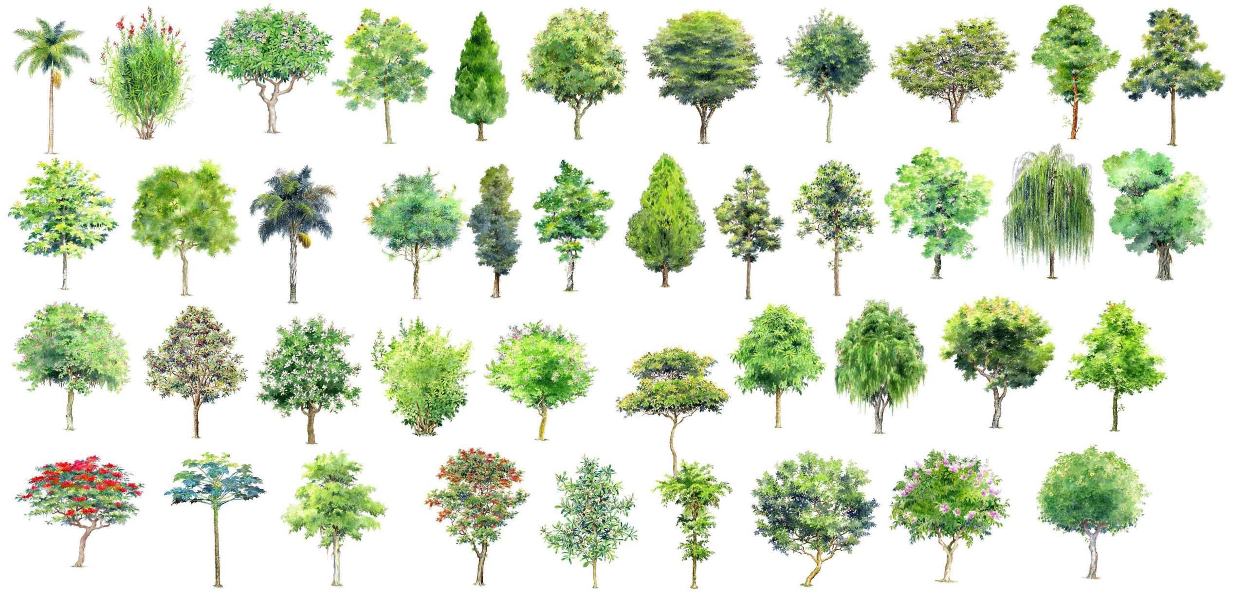 Hand-painted PSD Tree Blocks 3 - Image 4