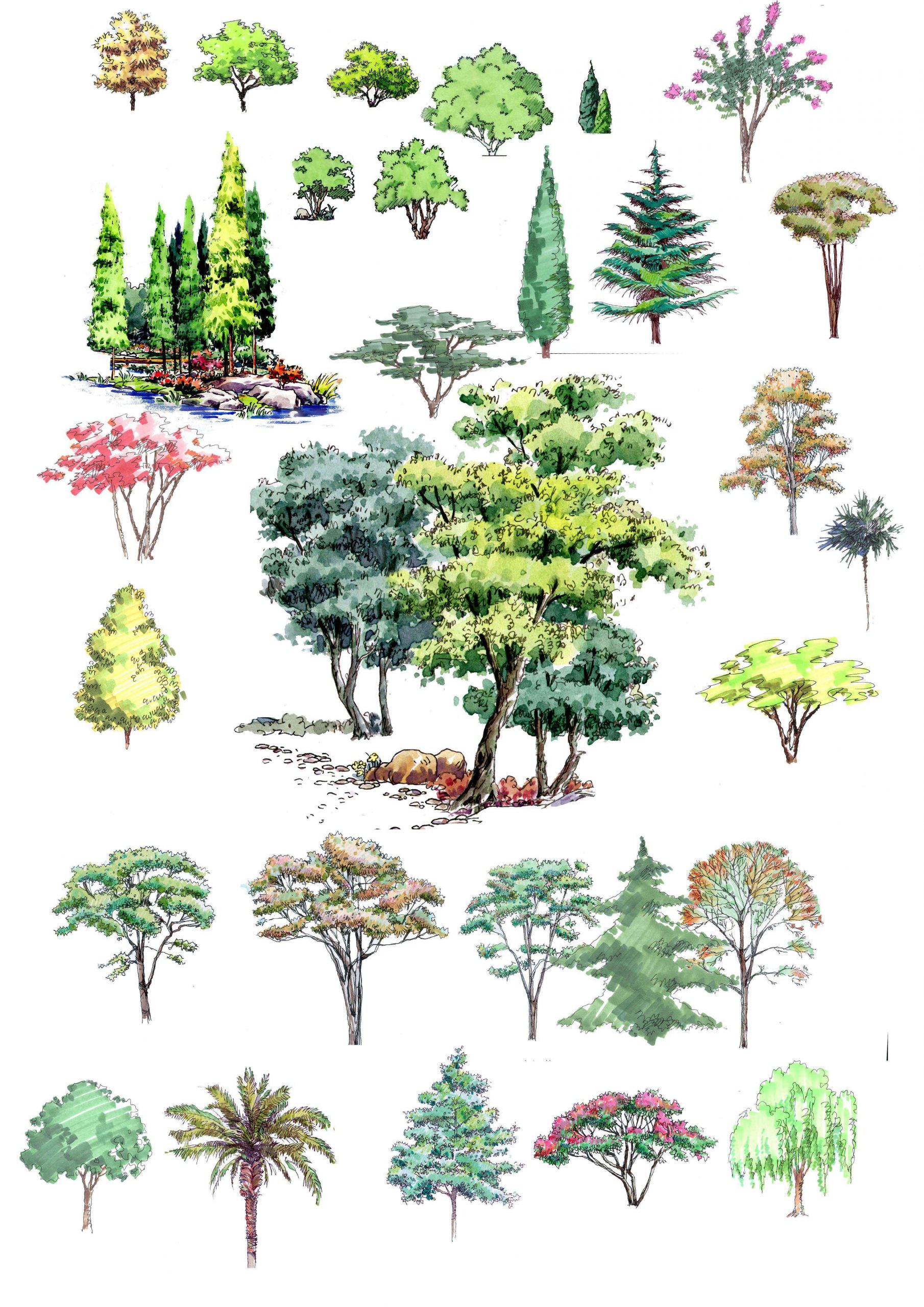 Hand-painted PSD Tree Blocks 1 - Image 3