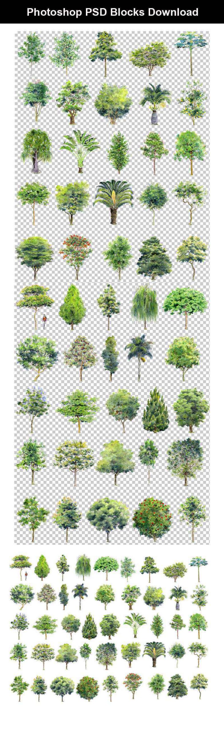 Hand-painted PSD Tree Blocks 2 - Image 4