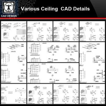 ★【Ceiling line,Corner flower,Parquet Autocad Blocks】All kinds of Ceiling design CAD drawings Bundle