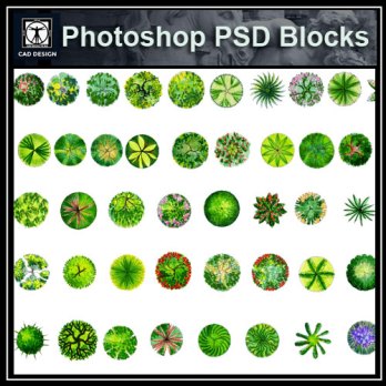 ★【 Tree PSD Landscape Blocks 】Tree 2D Plan PSD Landscape Blocks V1