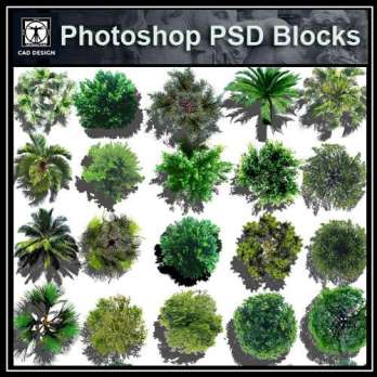 ★【 Tree PSD Landscape Blocks 】Tree 2D Plan PSD Landscape Blocks V4
