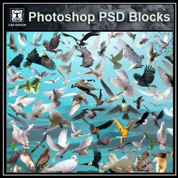 ★【 PSD Landscape Blocks-All Bird PSD Blocks Download】