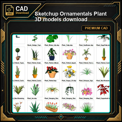 Sketchup Ornamentals Plant 3D models download